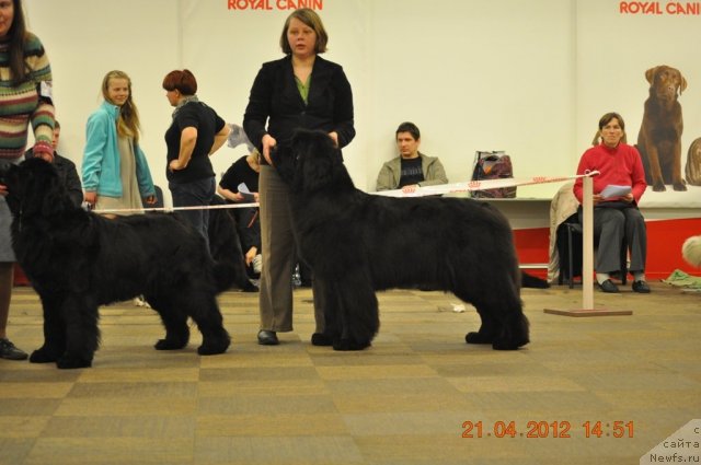 Фотография № 94051