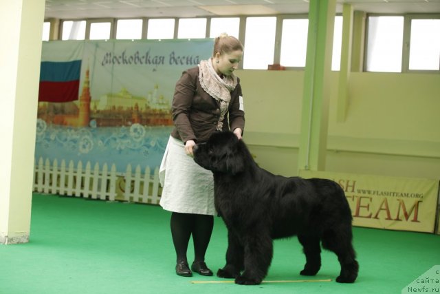 Фотография № 94062