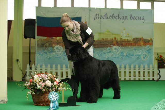 Фотография № 94064