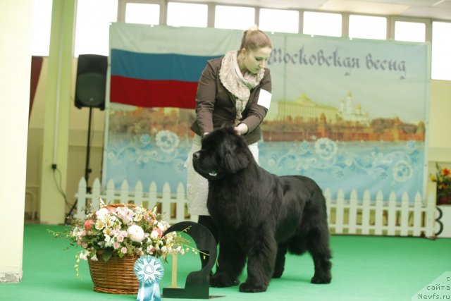 Фотография № 94066