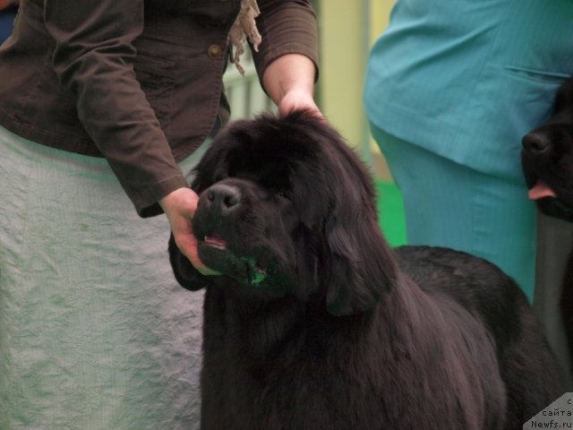 Фотография № 94069