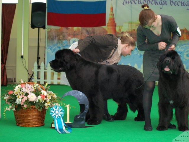 Фотография № 94071