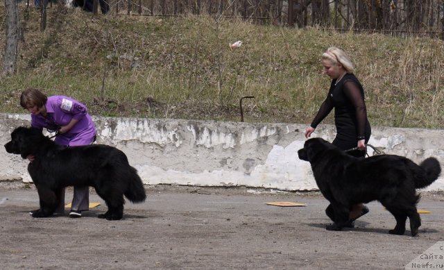 Фотография № 94210