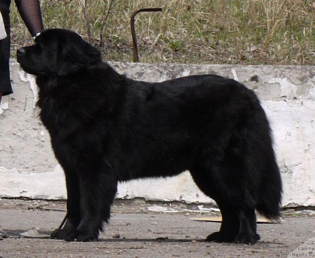 Фотография № 94211