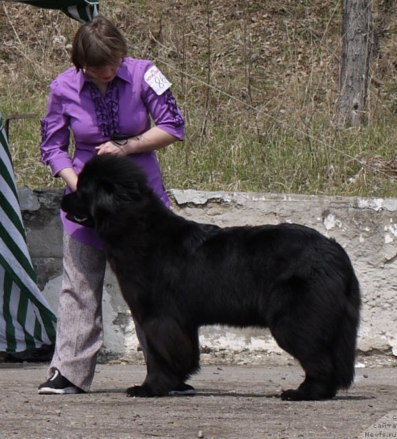 Фотография № 94212