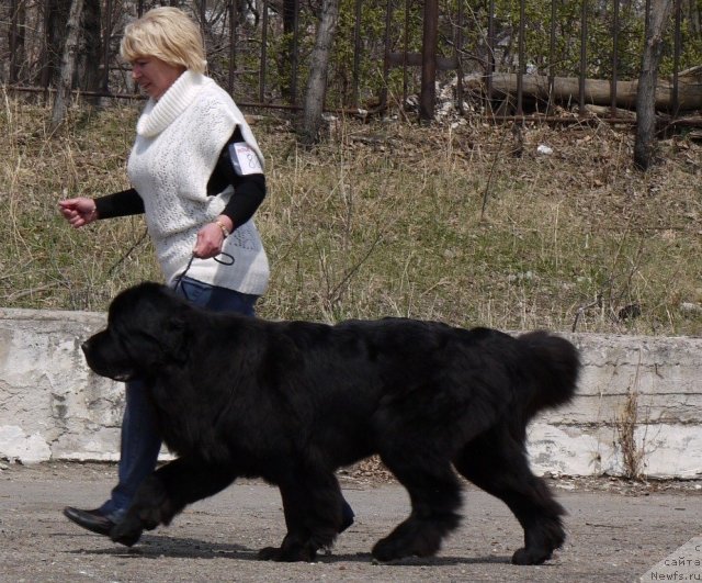 Фотография № 94218