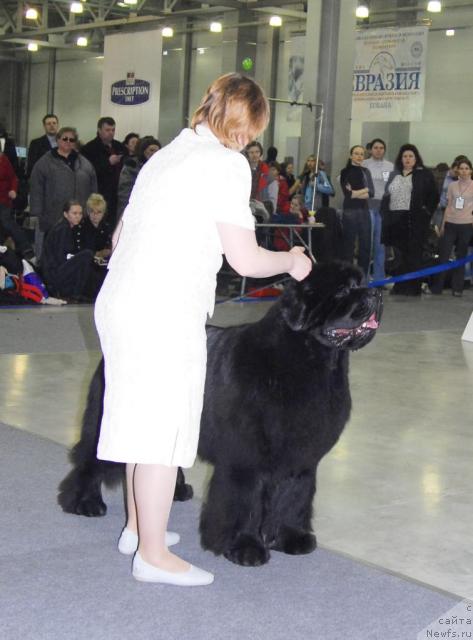 Фотография № 9427