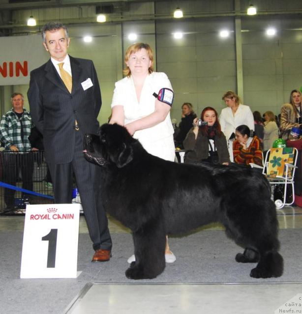 Фотография № 9428