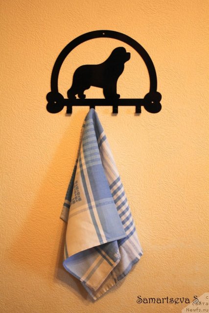 Фотография № 94299