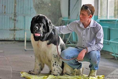 Фотография № 94300