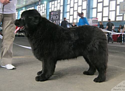 Фотография № 94326