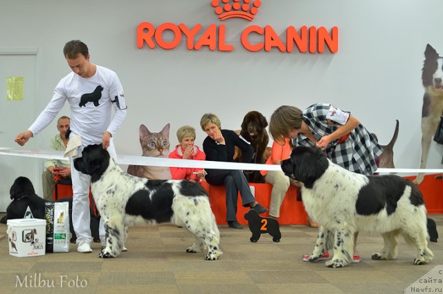 Фотография № 94368