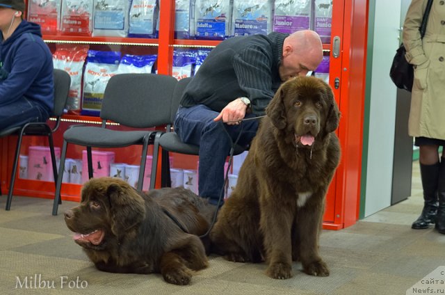 Фотография № 94369