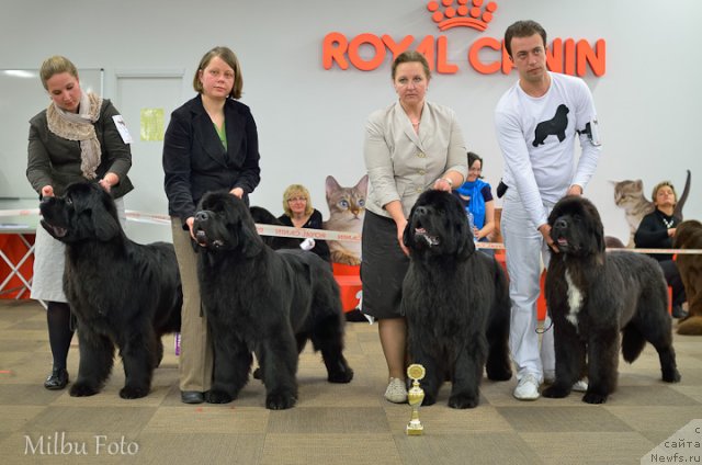 Фотография № 94370