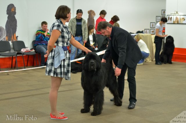 Фотография № 94373