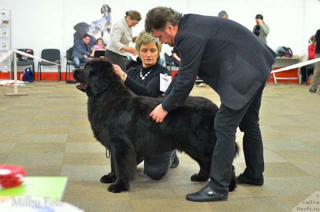 Фотография № 94374