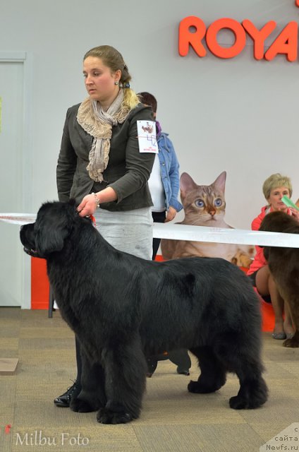 Фотография № 94375