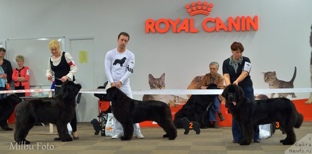 Фотография № 94376