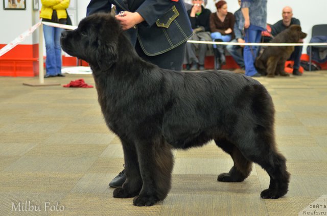 Фотография № 94377