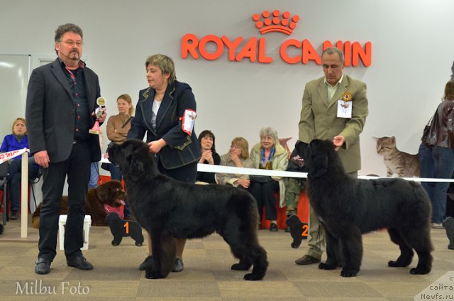 Фотография № 94379