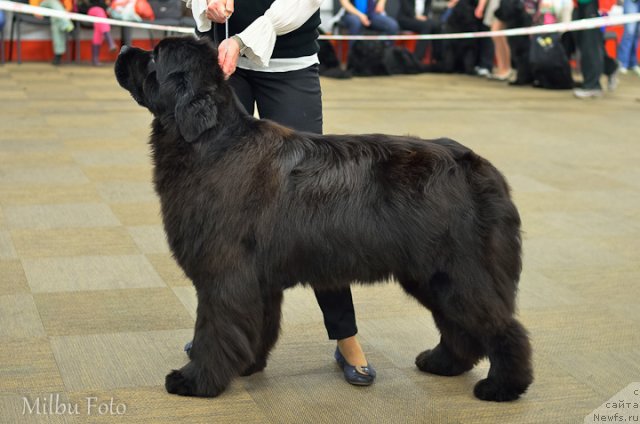 Фотография № 94380