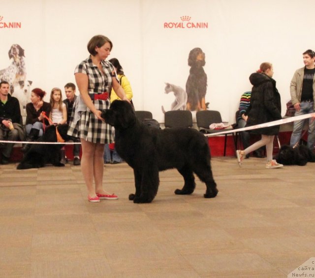 Фотография № 94402