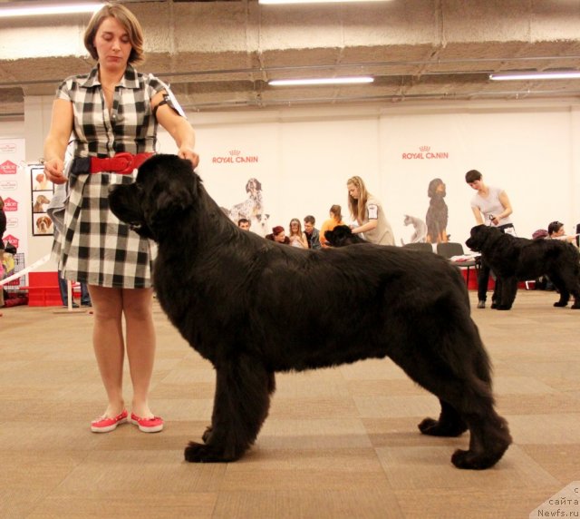 Фотография № 94405