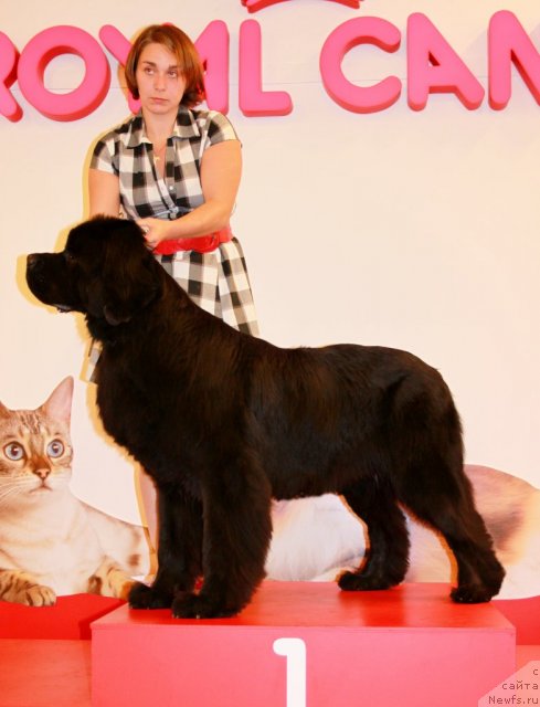 Фотография № 94406