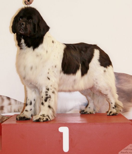 Фотография № 94425