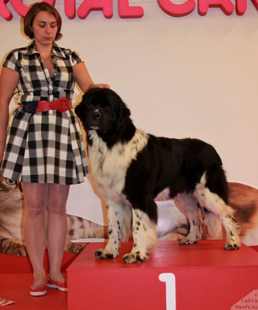 Фотография № 94431