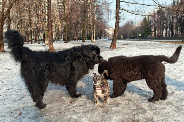 Фотография № 94453