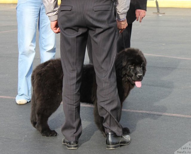 Фотография № 94472