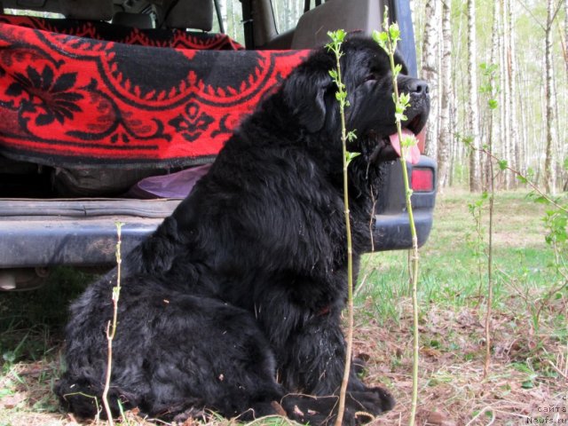 Фотография № 94484