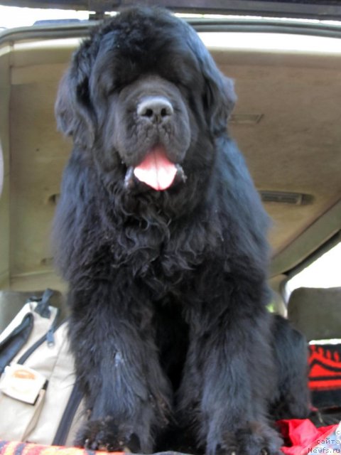 Фотография № 94486