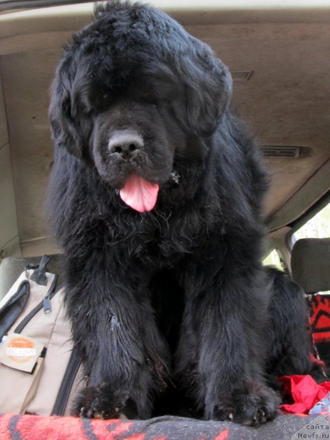 Фотография № 94488