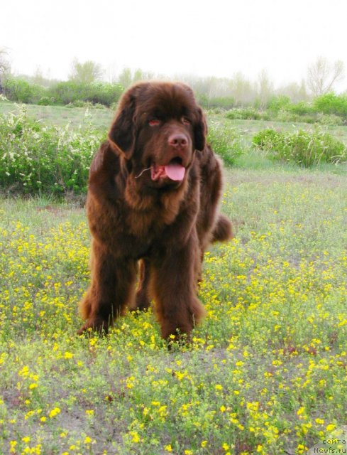 Фотография № 94520