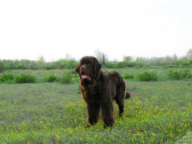 Фотография № 94521