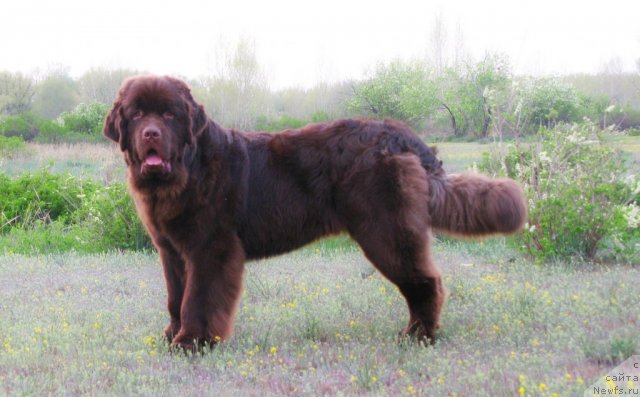 Фотография № 94522