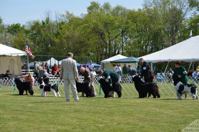 Фотография № 94524