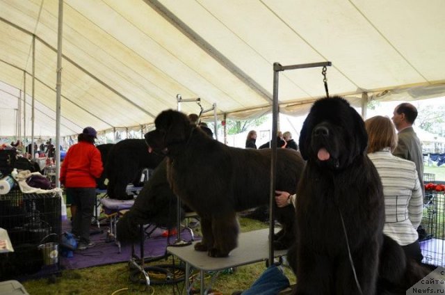 Фотография № 94525