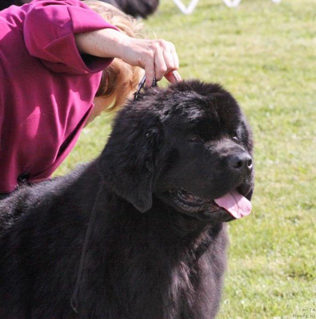 Фотография № 94528