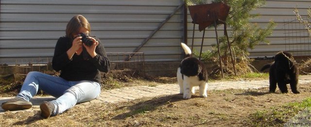 Фото: Ксения Семикова