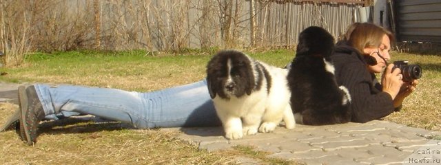 Фото: Ксения Семикова