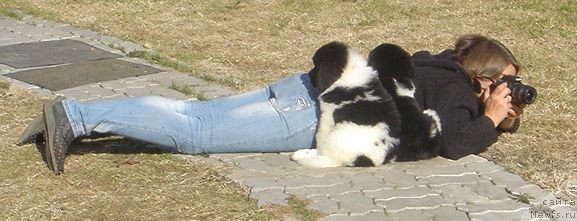 Фото: Ксения Семикова