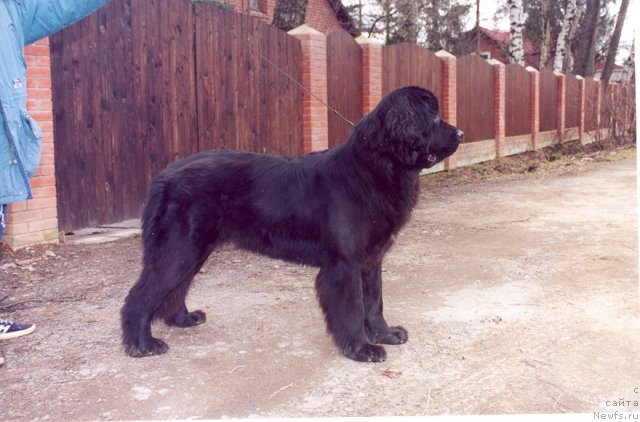 Фотография № 94536