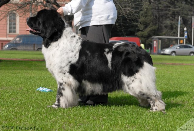 Фотография № 94537