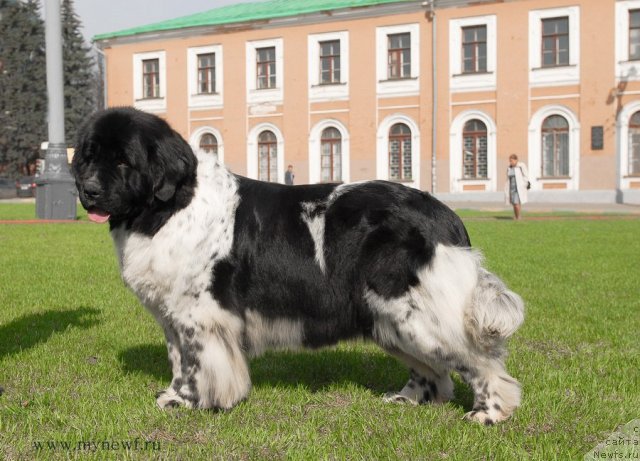 Фотография № 94539