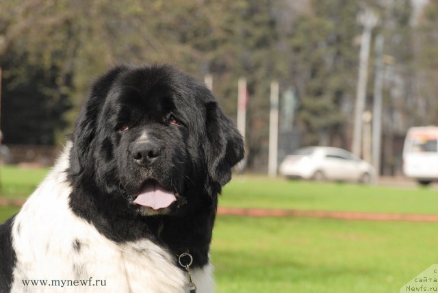 Фотография № 94540