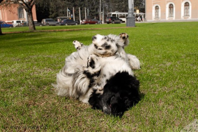 Фотография № 94544