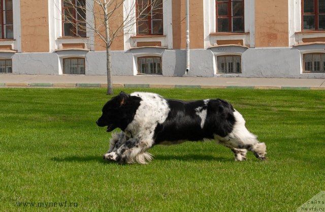 Фотография № 94548